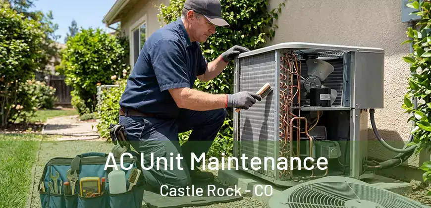 AC Unit Maintenance Castle Rock - CO